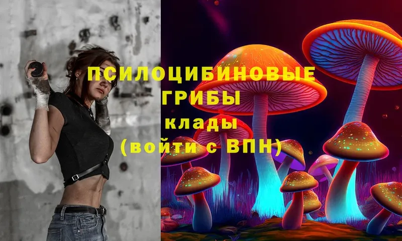 Галлюциногенные грибы Psilocybe  купить закладку  kraken ТОР  Навашино 